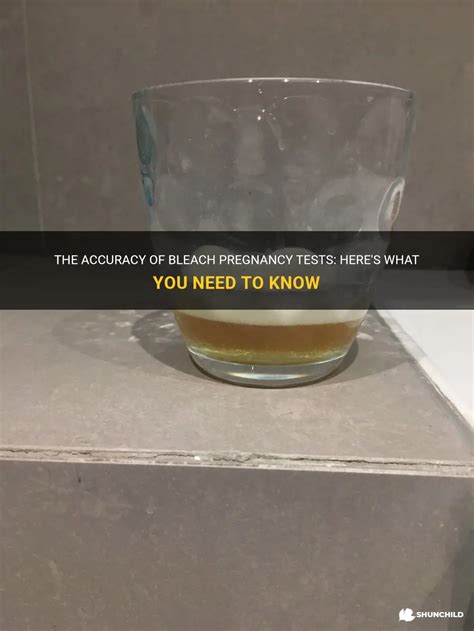 What You Need to Know About Bleach Pregnancy Tests .